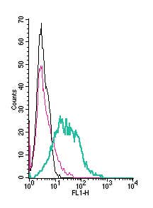 Anti-Prostacyclin Receptor (PTGIR) (extracellular) Antibody
