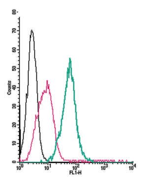 Anti-Plexin-C1 (extracellular)-FITC Antibody