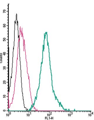 Anti-Thromboxane A2 Receptor (extracellular)-FITC Antibody
