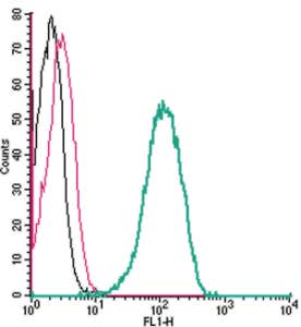 Anti-Thromboxane A2 Receptor (extracellular) Antibody