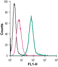 Anti-P2Y2 Receptor (extracellular)-FITC Antibody
