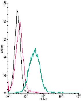 Anti-P2Y13 Receptor (extracellular)-FITC Antibody