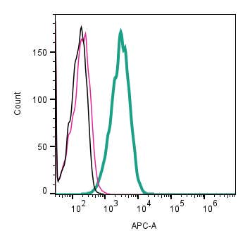 Anti-Na<sub>V</sub>1.5 (SCN5A) (extracellular) Antibody