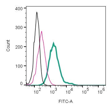 Anti-Somatostatin Receptor Type 2 (extracellular)-FITC Antibody