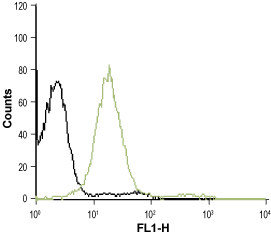 Anti-S1PR3 (EDG3) (extracellular)-ATTO Fluor-488 Antibody