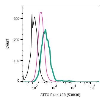 Anti-5HT1B Receptor (HTR1B) (extracellular)-ATTO Fluor-488 Antibody