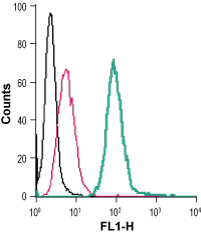 Anti-5HT4 Receptor (HTR4) (extracellular)-FITC Antibody