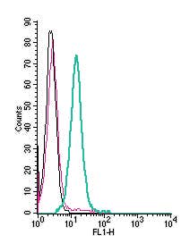 Anti-5HT4 Receptor (HTR4) (extracellular) Antibody
