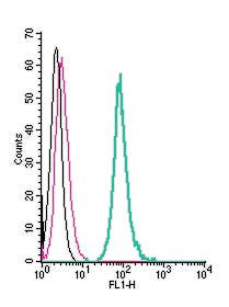 Anti-5HT7 Receptor/HTR7 (extracellular)-FITC Antibody