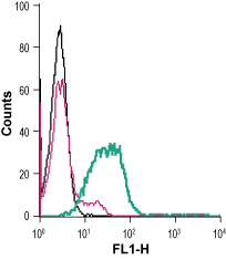 Anti-Semaphorin 4D (SEMA4D) (extracellular) Antibody