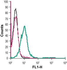 Anti-Semaphorin 7A (SEMA7A) (extracellular) Antibody