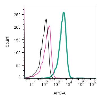 Anti-Neurokinin 1 Receptor (NK1R) (extracellular)-APC Antibody