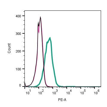 Anti-TYRO3 (extracellular) Antibody