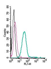 Anti-MERTK (extracellular)-FITC Antibody