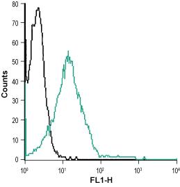 Anti-Human ZACN (extracellular) Antibody