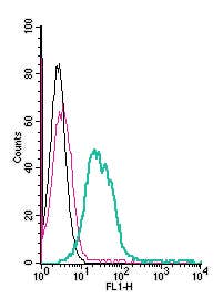 Anti-ZIP6/SLC39A6 (extracellular)-FITC Antibody
