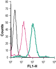 Anti-ZIP8 (SLC39A8) (extracellular)-FITC Antibody