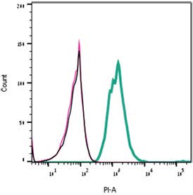 α-Bungarotoxin-ATTO Fluor-590