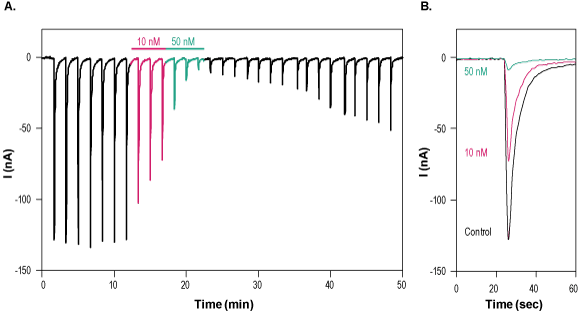 α-Bungarotoxin