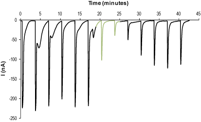 α-Bungarotoxin