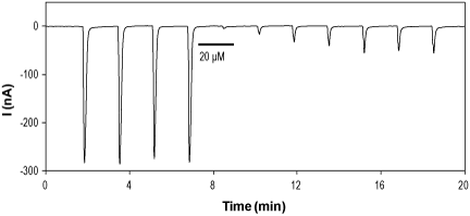 (+)-Bicuculline