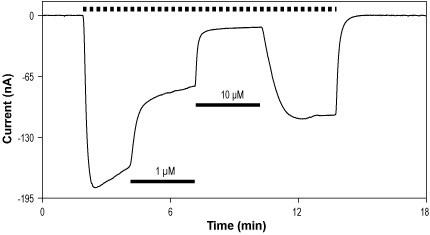 (-)-Bicuculline methiodide