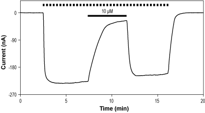 (-)-Bicuculline methochloride