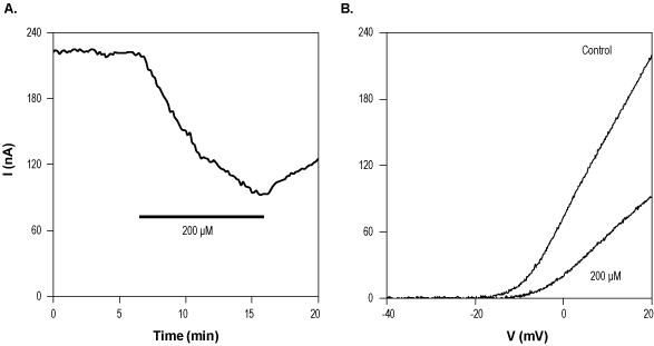 CP 339818 hydrochloride