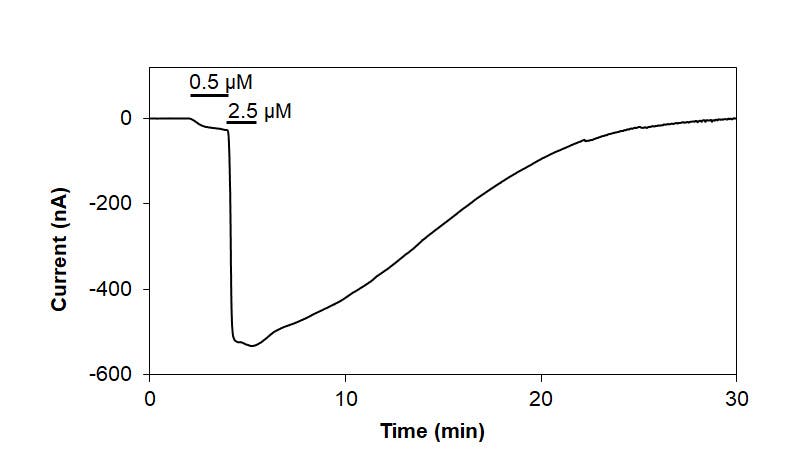 Capsaicin