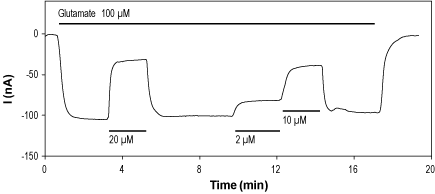 CNQX disodium salt