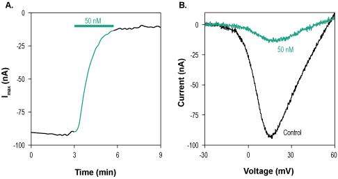 ω-Conotoxin MVIIC