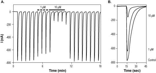 (±)-CPP