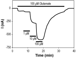 Cyclothiazide