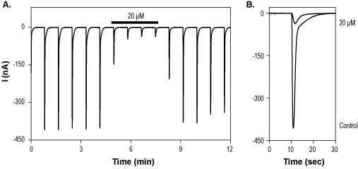 7-Chlorokynurenic acid