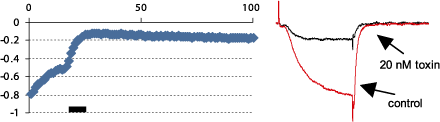 ω-Conotoxin GVIA