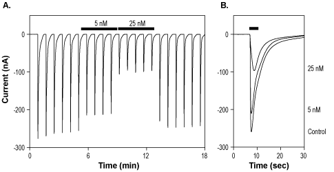 CGP-37849