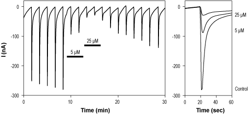 CP 465022 hydrochloride