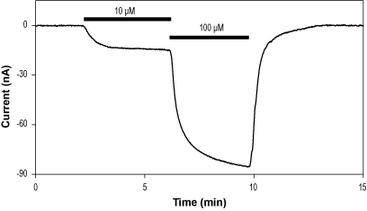 CGS 20625