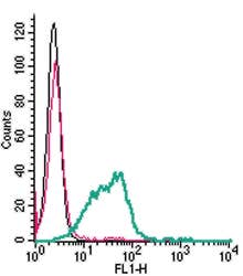 Anti-CD39 (extracellular)-FITC Antibody