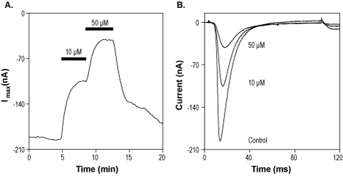 Na<sub>V</sub>1.7-Compound 36