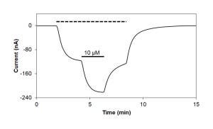 Valerenic acid