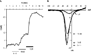 A-803467
