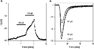 α-Asarone
