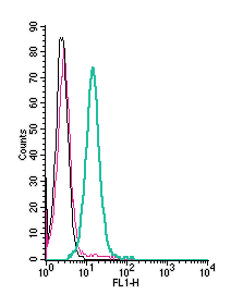 Anti-5HT4 Receptor (HTR4) (extracellular) Antibody