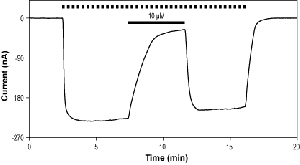 (-)-Bicuculline methochloride
