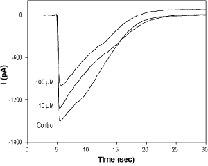 Talipexole dihydrochloride
