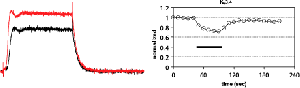 BDS-II