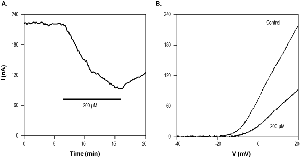 CP 339818 hydrochloride
