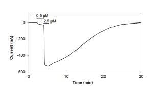 Capsaicin