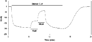 CNQX